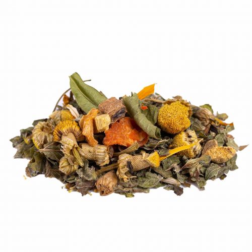 Stomach Elixir BIO